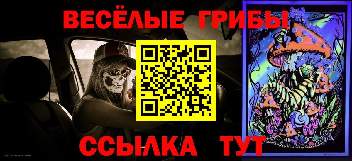 где купить наркотик  Галлюциногенные грибы мухоморы  Вход с VPN  Калининград  Галлюциногенные грибы Cubensis 