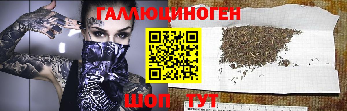 Псилоцибиновые грибы MAGIC MUSHROOMS Калининград